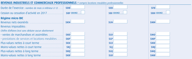 Les cases à remplir dans la déclarations de revenus des auto entrepreneurs
