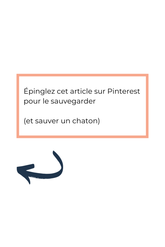 épinglez pinterest article de blog TheBBoost