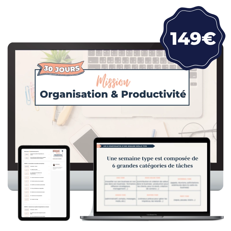 Mission organisation et productivité